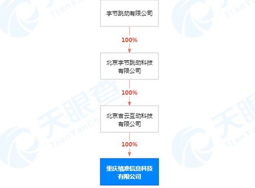 字節跳動再拓業務版圖 新設公司布局數據服務與軟件開發領域